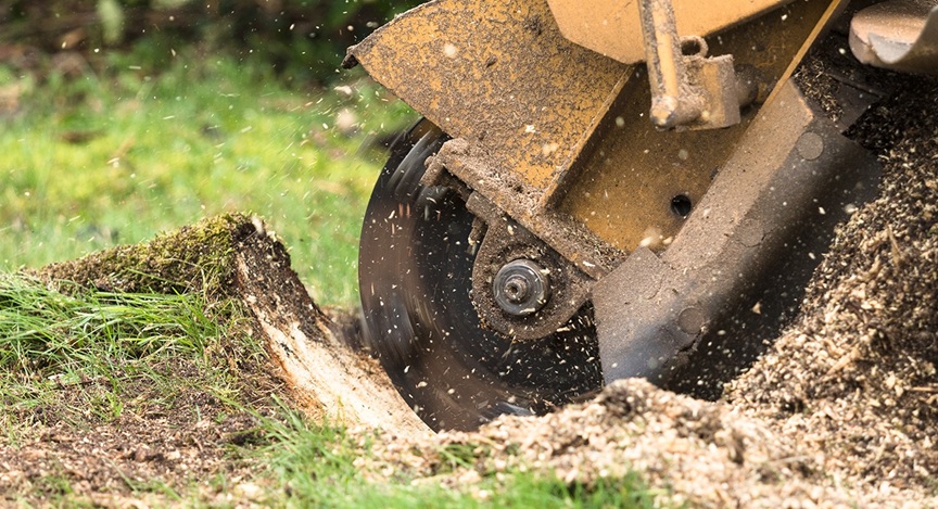 the-woodlands=tree-stump-grinding-1
