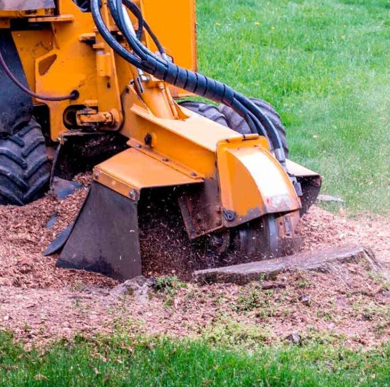 the-woodlands-tree-stump-grinding-1